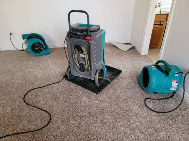 Best Local water damage restoration  in Gettysburg, SD