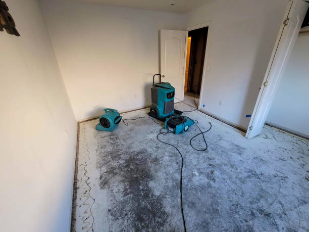 Best Water damage contractors near me  in Gettysburg, SD