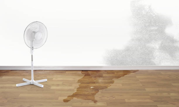Best 24/7 water damage repair  in Gettysburg, SD