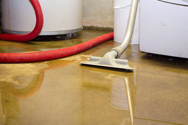 Best Water damage contractors near me  in Gettysburg, SD