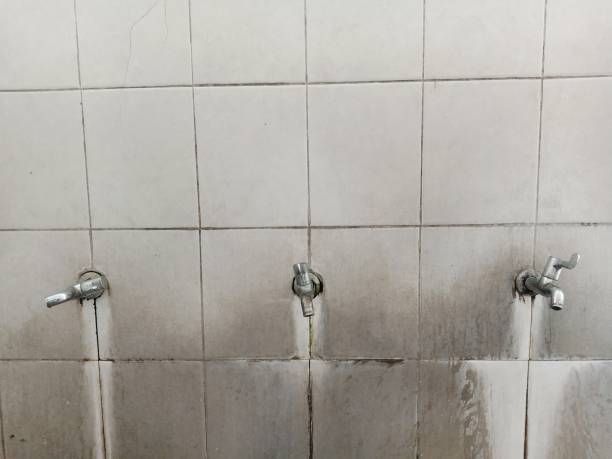Best Basement water damage restoration  in Gettysburg, SD