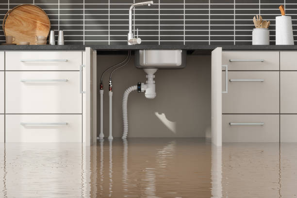 Best Professional water damage repair  in Gettysburg, SD